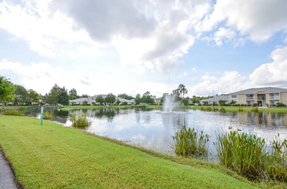 Waterfront View with Trees and Building Exteriors