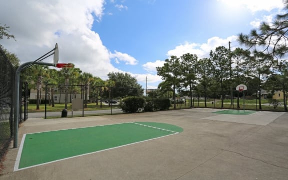 Fenced in Basketball Court with Treeline in the Background