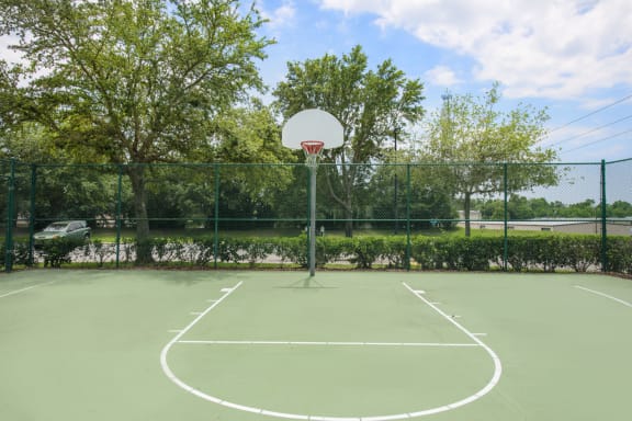a basketball hoop on a green court with trees in the background