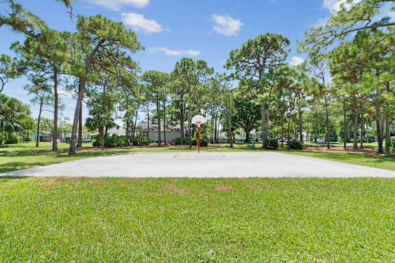 basketball court surrounded by trees