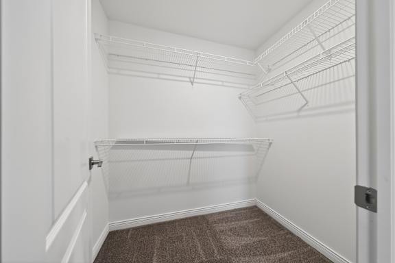 A white closet with shelves and a brown carpet.
