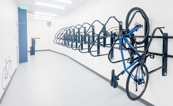 a row of bikes hanging on a wall in a white room