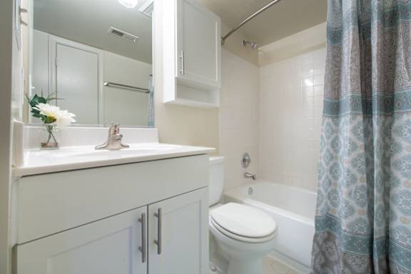 Bright Bathroom at Tuscarora Creek