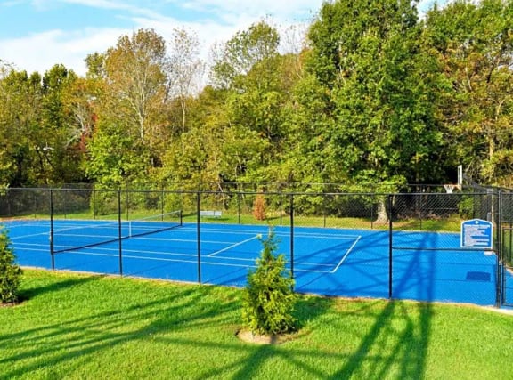 Sport court at West Pointe Apartments, North Carolina