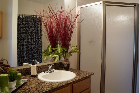 Stand up Shower in Bathroom  at Stone Gate Apartments, Spring Lake, 28390