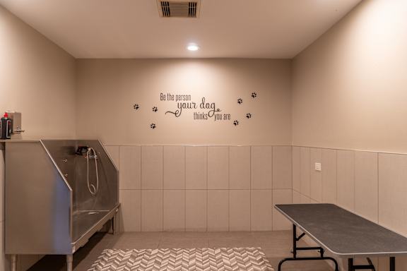 A wall with a quote and some stars on it.