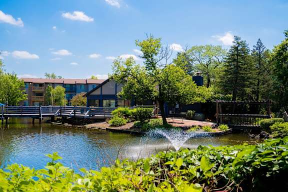 A serene park with a fountain in the middle of a pond.