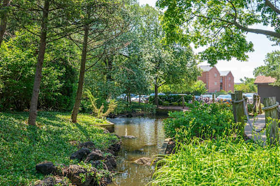 A serene landscape with a small river, rocks, and lush greenery.
