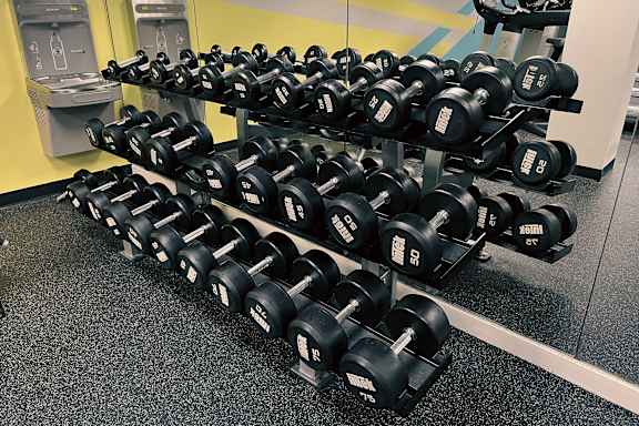 A row of black dumbbells are lined up on a rack in a gym.
