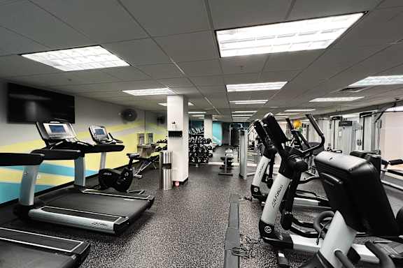 A gym with treadmills, exercise bikes, and other equipment.
