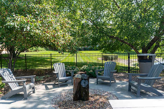 A set of four chairs are arranged in a circle around a tree stump.
