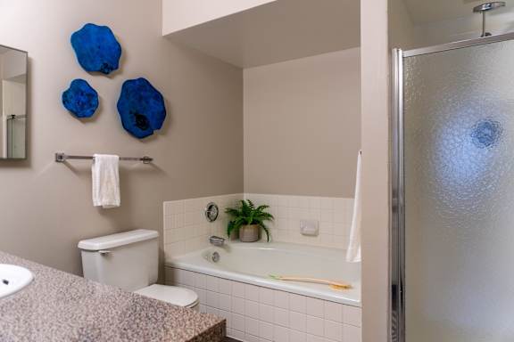 A bathroom with a toilet, sink, and a bathtub with a plant in it.