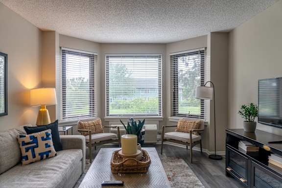 A living room with a grey couch, a wooden coffee table, and a television.