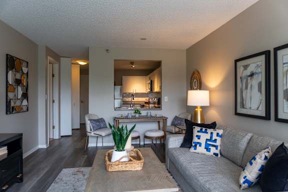 A living room with a grey couch and a wooden coffee table.