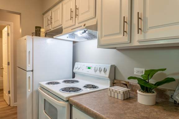 A white stove and oven in a kitchen with a plant on the counter.