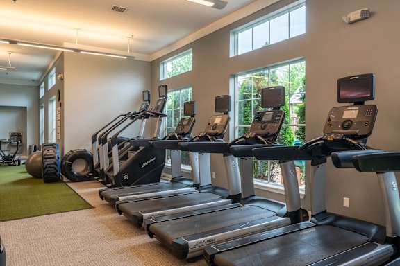 A row of treadmills in a gym.