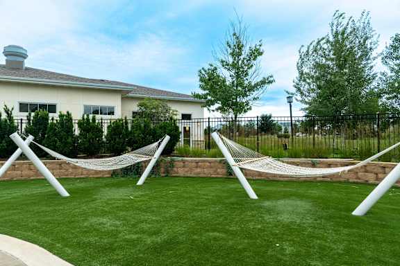 Two hammocks are strung between two poles in a grassy area.