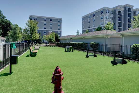 A red fire hydrant sits in the middle of a green lawn.
