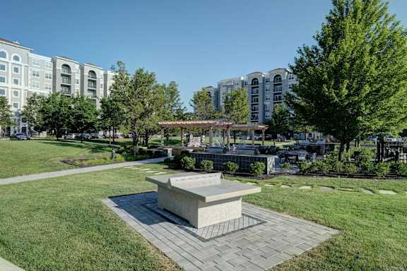 A park with a bench and a tree in the foreground and buildings in the background.