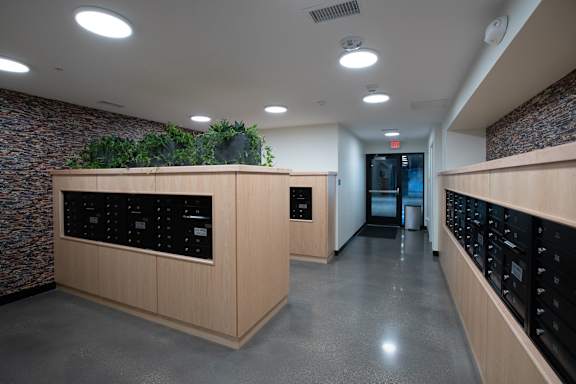 A long hallway with a plant on top of a counter.