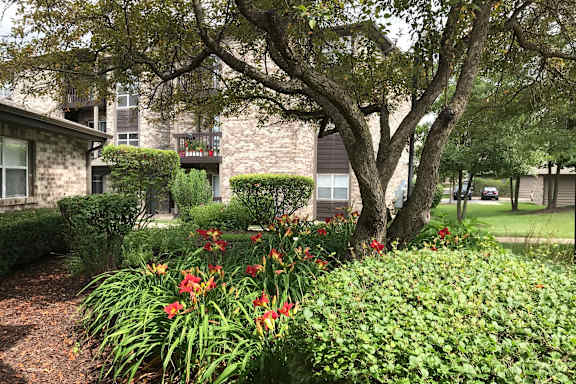 A tree with red flowers in the foreground and a building in the background.