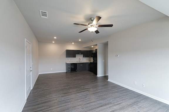Ceiling fan and lights at The Vista Apartments &amp; Townhomes, Warrenville, SC, 29851