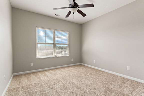 Grey room interior with soft carpet texture at The Vista Apartments &amp; Townhomes, Warrenville, 29851