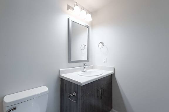grey bathroom area at The Vista Apartments &amp; Townhomes, Warrenville South Carolina