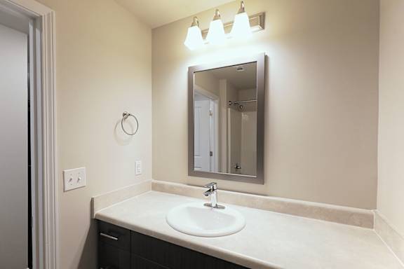 Bathroom sink at The Vista Apartments &amp; Townhomes, South Carolina, 29851