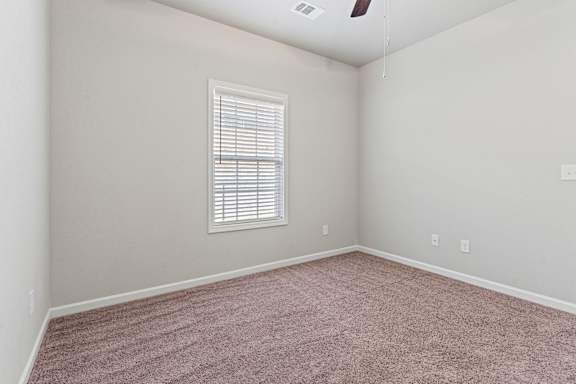 Quiet grey room with golden carpet floor at The Vista Apartments &amp; Townhomes, Warrenville, SC 29851