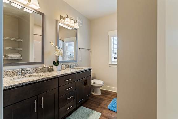 A bathroom with a vanity, toilet, and a mirror.