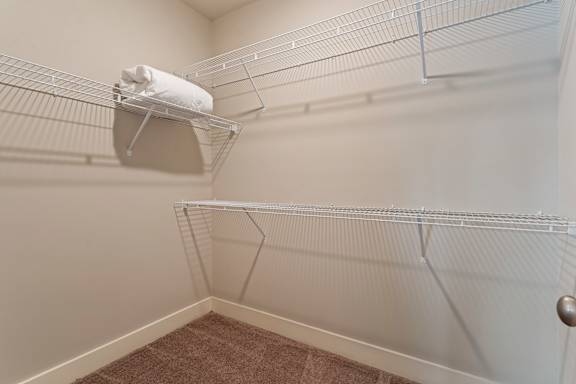 A white closet with a brown carpet and a white towel hanging on a rod.