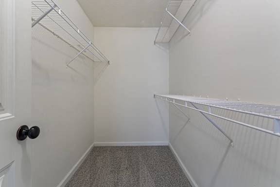 A white closet with a black door and grey carpet.