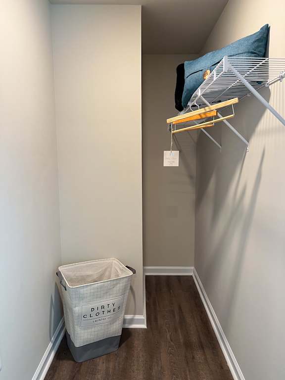 Closet in studio apartment at The Vista Apartments &amp; Townhomes, South Carolina, 29851