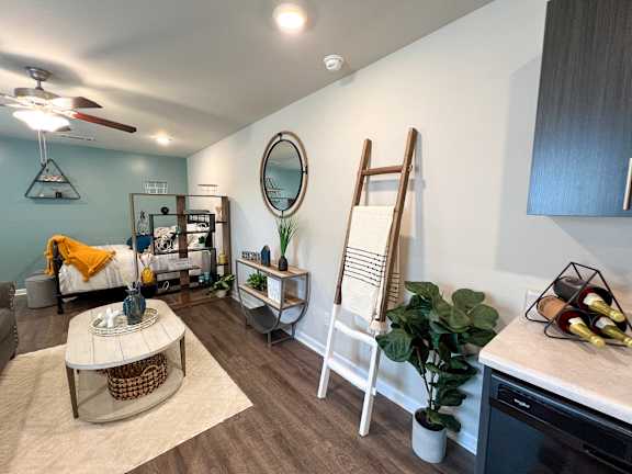 Living and sleeping area of studio apartment with accent wall at The Vista Apartments &amp; Townhomes, Warrenville, SC, 29851
