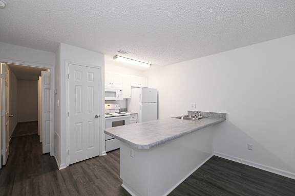 Sophisticated modern kitchen with appliances installed at Sanctuary Apartments and Townhomes, Augusta, GA 30909