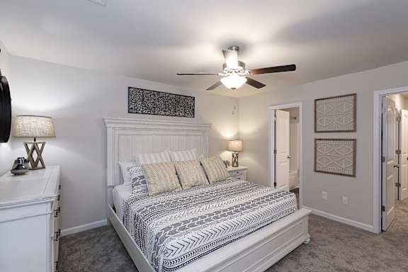 Ceiling Fan at Helena Springs, Georgia