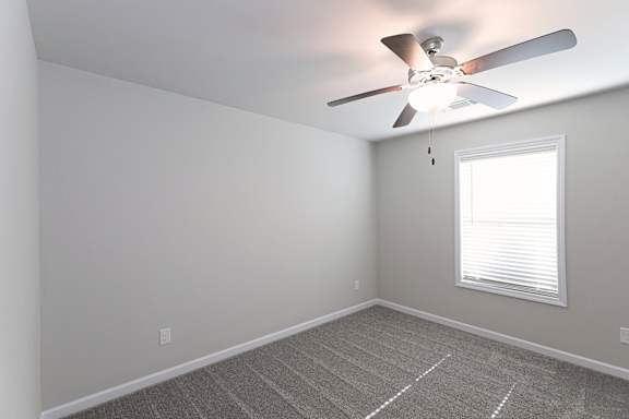 Lighted Ceiling Fan at Helena Springs, Augusta