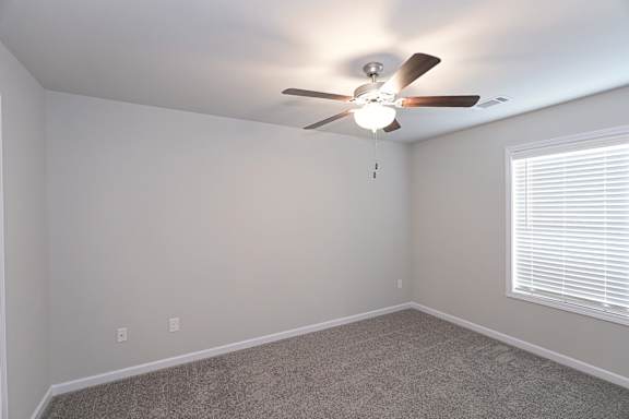 Custom Lighting And Ceiling Fans at Helena Springs, Augusta, GA 30909