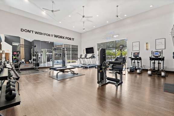 the gym is equipped with a variety of weights and cardio equipment