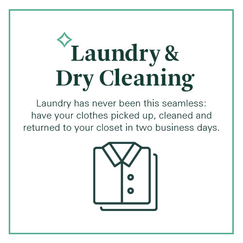 laundry and dry cleaning laundry has never been this seamless  have your clothes picked up
