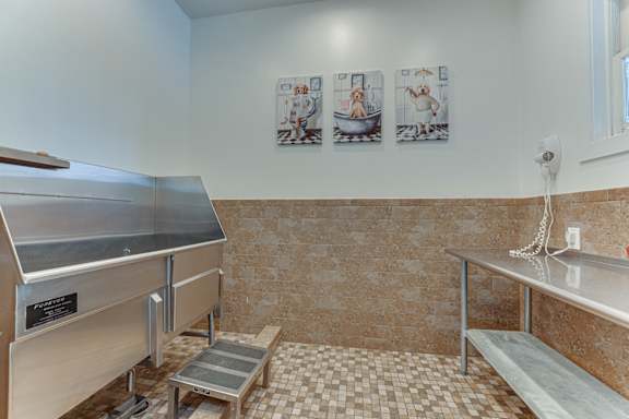 Pet Spa at The Brazos Apartments, Dallas, Texas