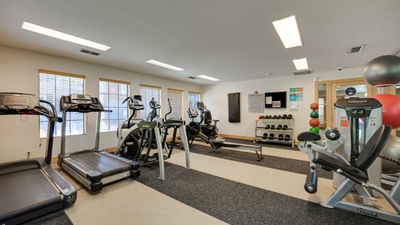 a room filled with lots of different types of exercise equipment at The Manhattan Apartments, Dallas, TX, 75252