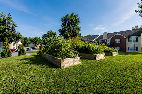 A well-maintained lawn with a large tree and a wooden planter box.
