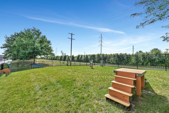 private fenced-in dog park with agility equipment