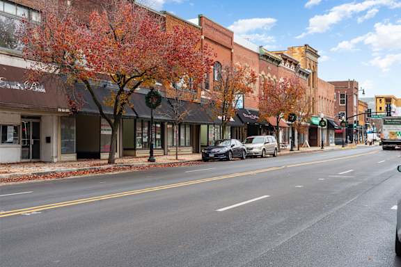 A tree with red leaves is in front of a building with a brown awning.