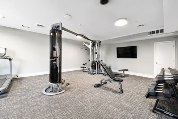 A home gym with a variety of equipment including a treadmill, a bench press, and a squat rack.