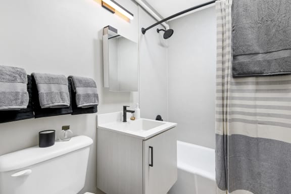 a bathroom with a sink and a toilet and a shower