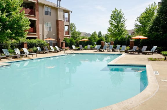 our apartments showcase a swimming pool