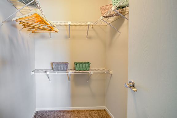 A white closet with a white door and a white wall.